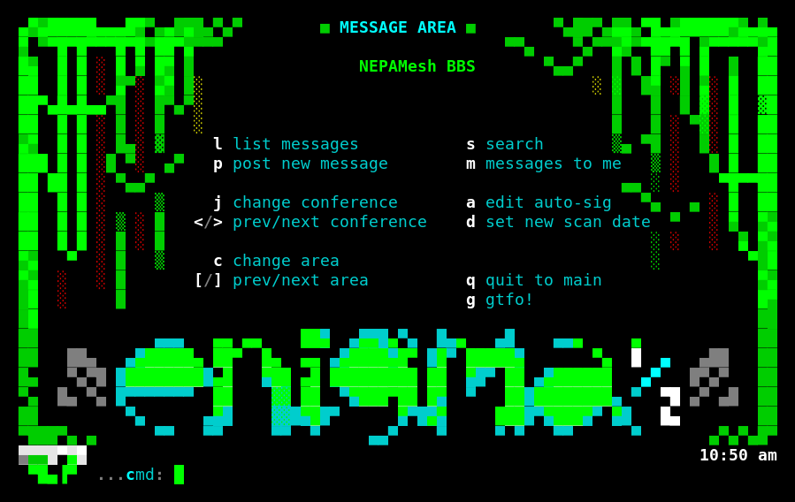 NEPAMesh BBS message area menu with green ANSI vine border art and ENiGMA logo