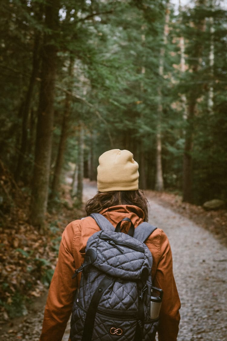 A hiker with a daypack walks down a forested trail.